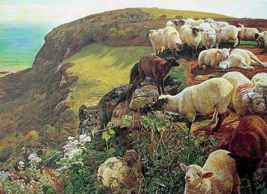 Sheep Paintings N010