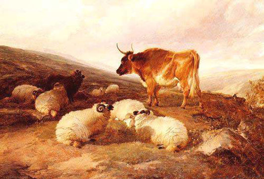 Sheep Paintings N012