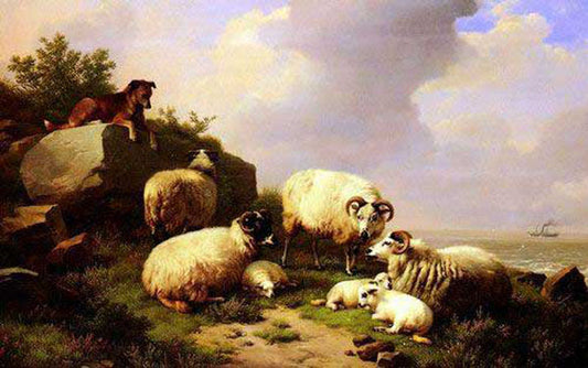 Sheep Paintings N013