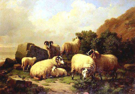 Sheep Paintings N014