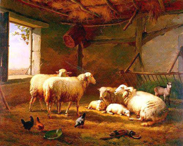 Sheep Paintings N015