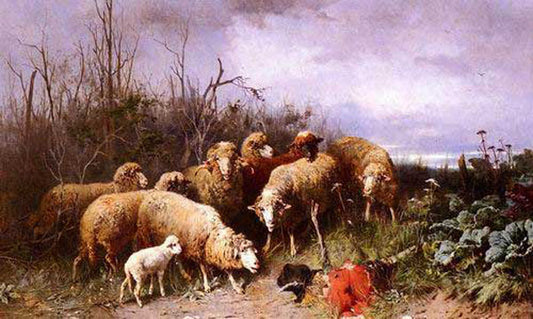 Sheep Paintings N019