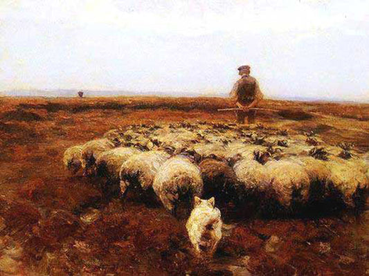 Sheep Paintings N021