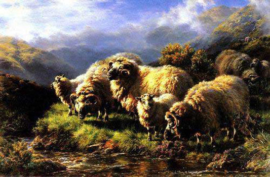 Sheep Paintings N023