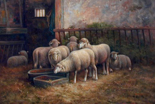 Sheep Paintings N027