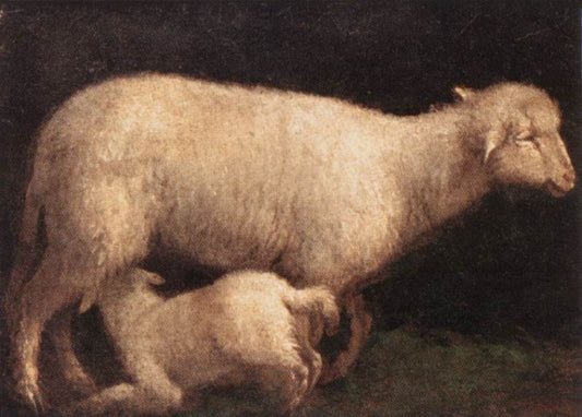 Sheep and Lamb