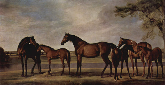 Mares and Foals Disturbed by an Approaching Storm