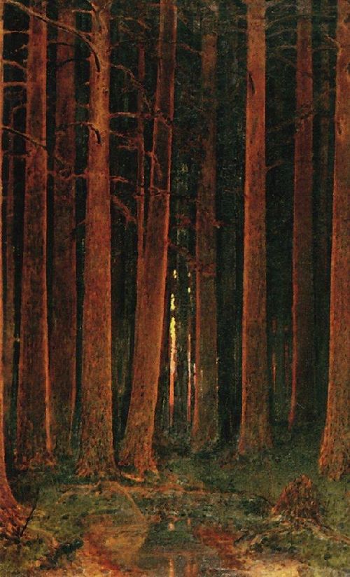 Sunset in the forest 1878