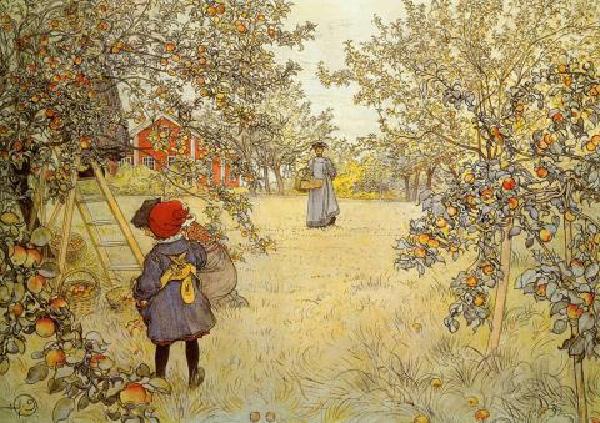 The Apple Harvest