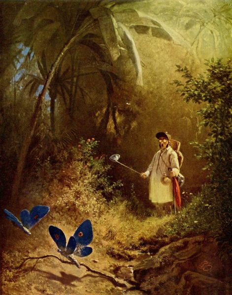 The Butterfly Catcher