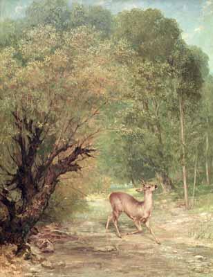 The Hunted Roe Deer on the Alert