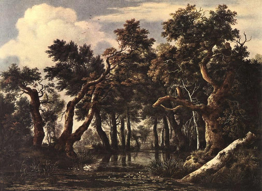 The Marsh in a Forest