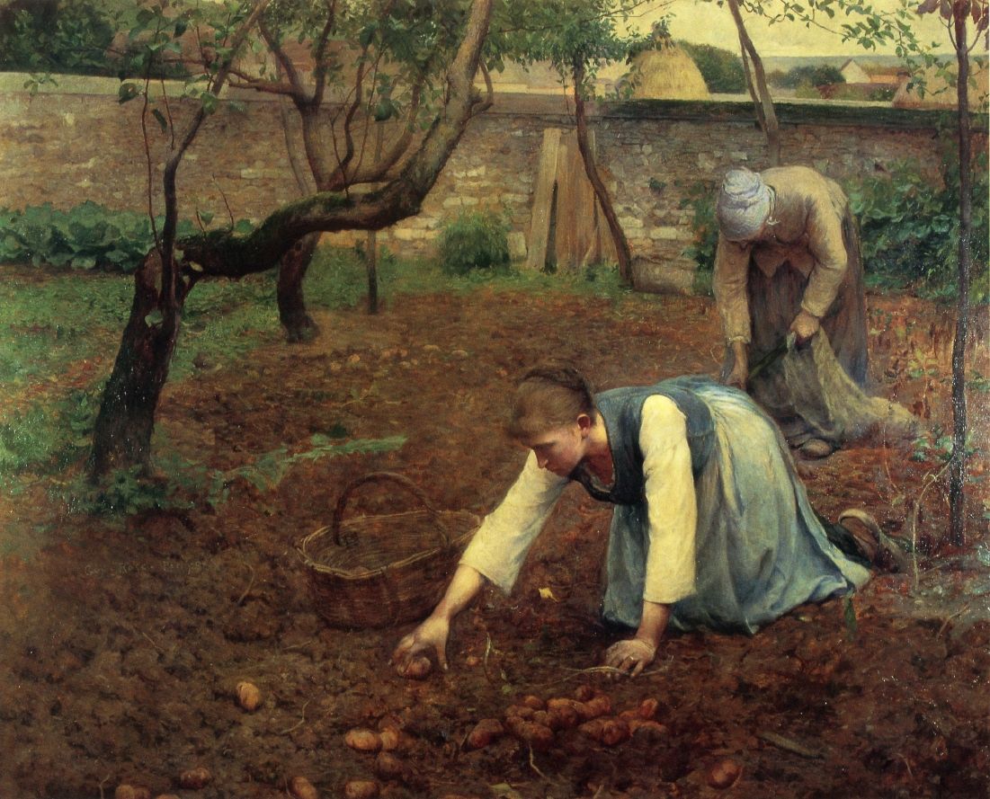 The Potato Gatherers