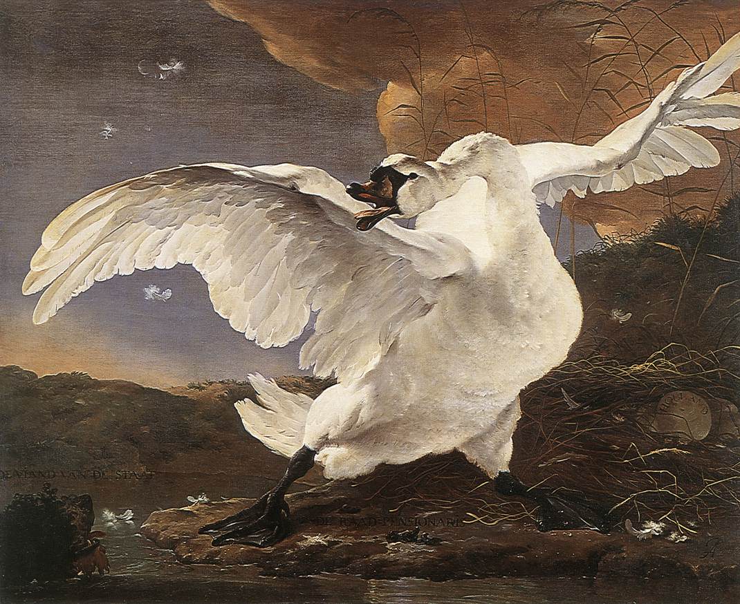 The Threatened Swan