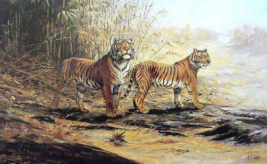 Tiger Paintings N001