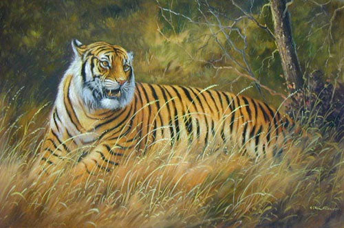 Tiger Paintings N002