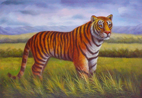 Tiger Paintings N003