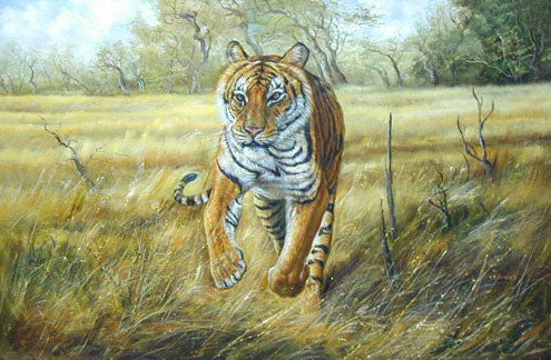 Tiger Paintings N004