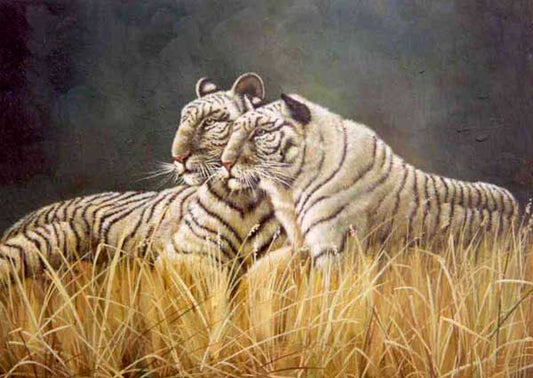 Tiger Paintings N005