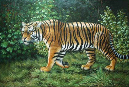 Tiger Paintings N008