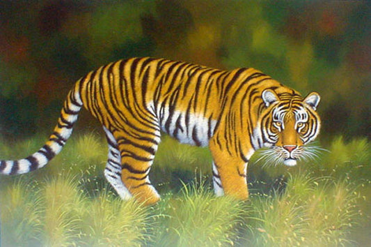 Tiger Paintings N009