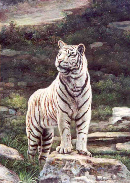 Tiger Paintings N014