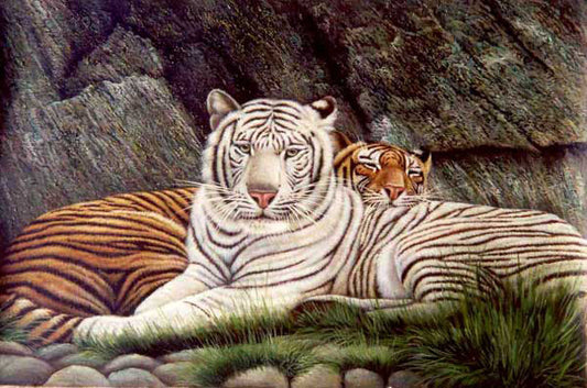 Tiger Paintings N016