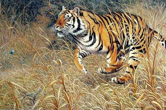 Tiger Paintings N022