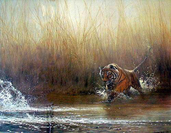 Tiger Paintings N024