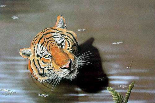 Tiger Paintings N026