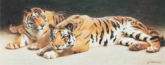 Tiger Paintings N028