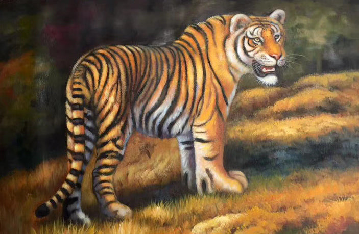 Tiger Paintings N12