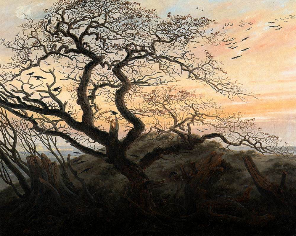 Tree with Crows