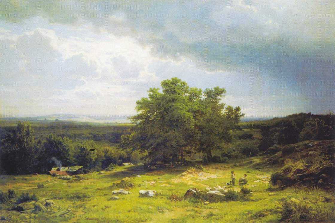 View near Dusseldorf