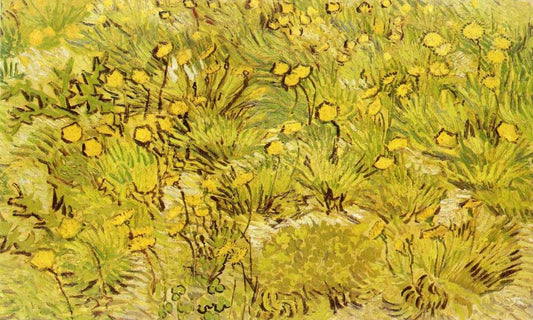 A Field of Yellow Flowers