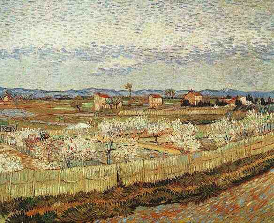 La Crau with Peach Trees in Blossom