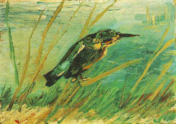 The Kingfisher