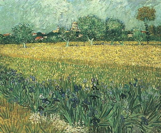 View of Arles with Irises