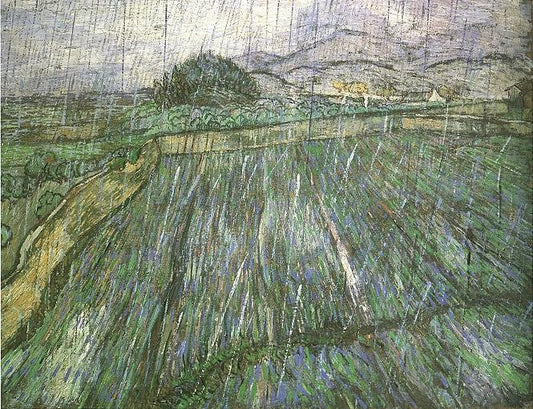 Wheat Field in Rain