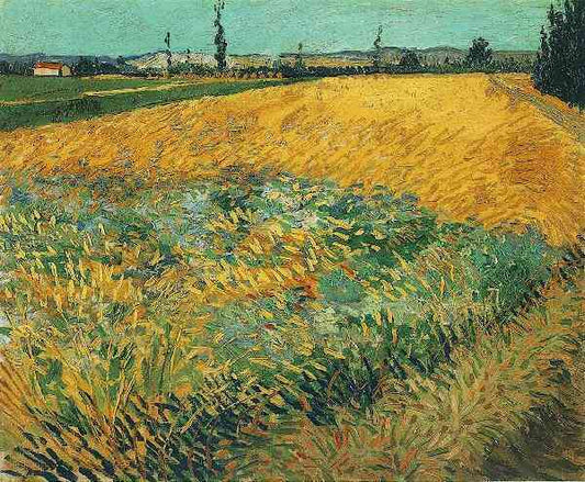 Wheat Field with the Alpilles Foothills in the Background