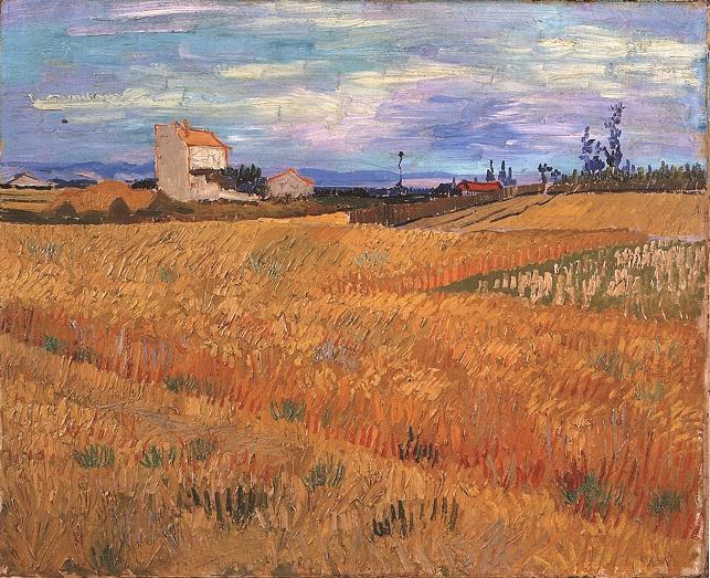 Wheat Field