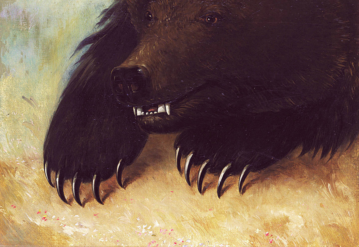 Weapons and Physiognomy of the Grizzly Bear