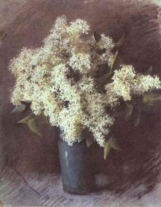 White Lilac