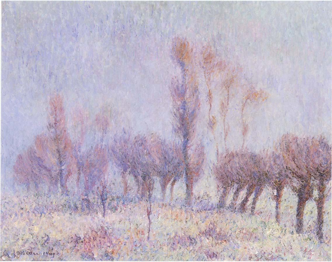 Willows in Fog