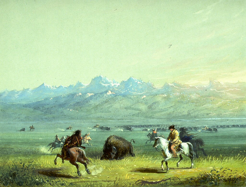 Wounded Buffalo