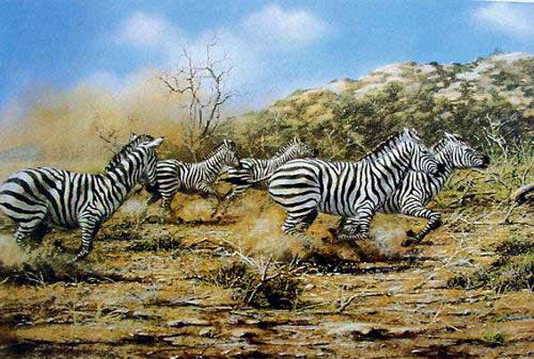 Zebra Paintings N001