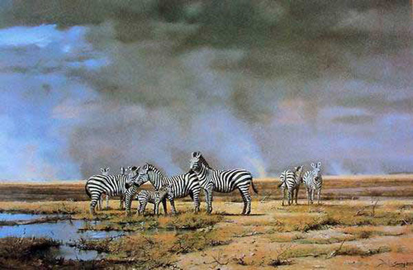 Zebra Paintings N002