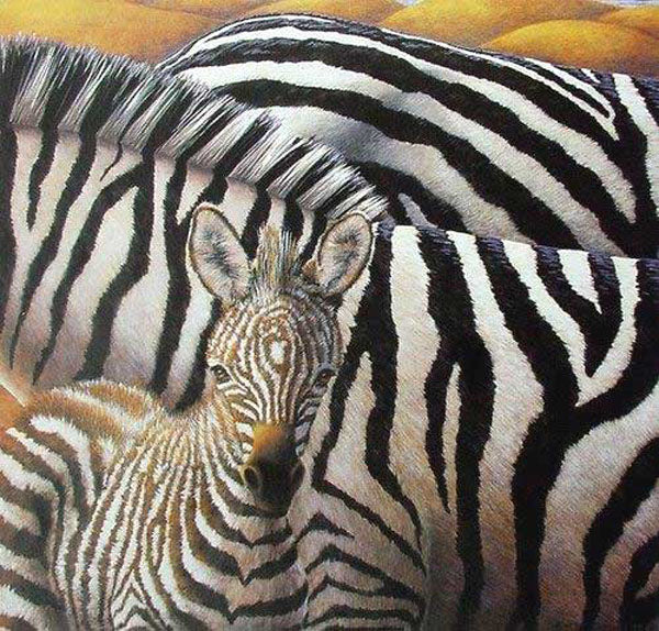 Zebra Paintings N003