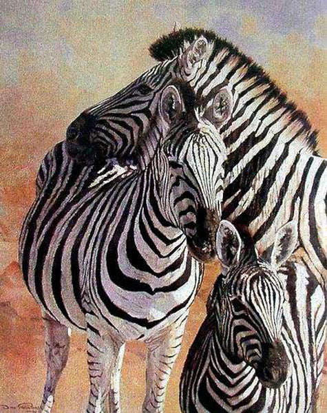 Zebra Paintings N005