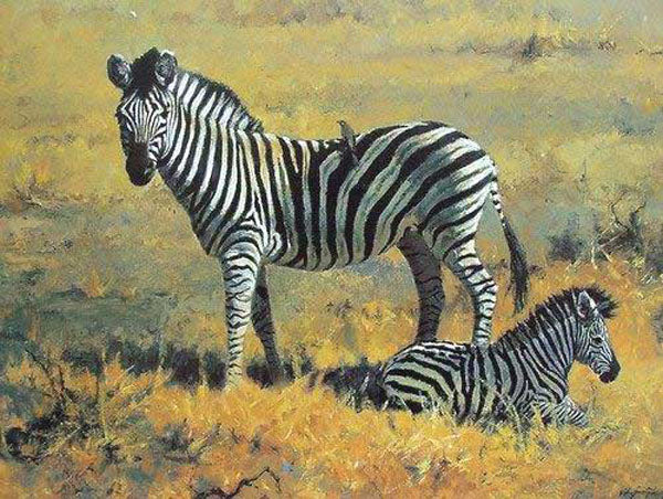 Zebra Paintings N008